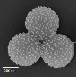 Experimental demonstration of Scattering Suppression in AuNP-Coated Dielectric Microspheres