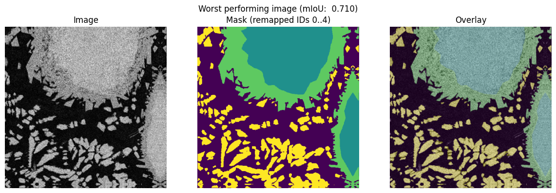 Lower performing segmentation example showing subtle misclassifications